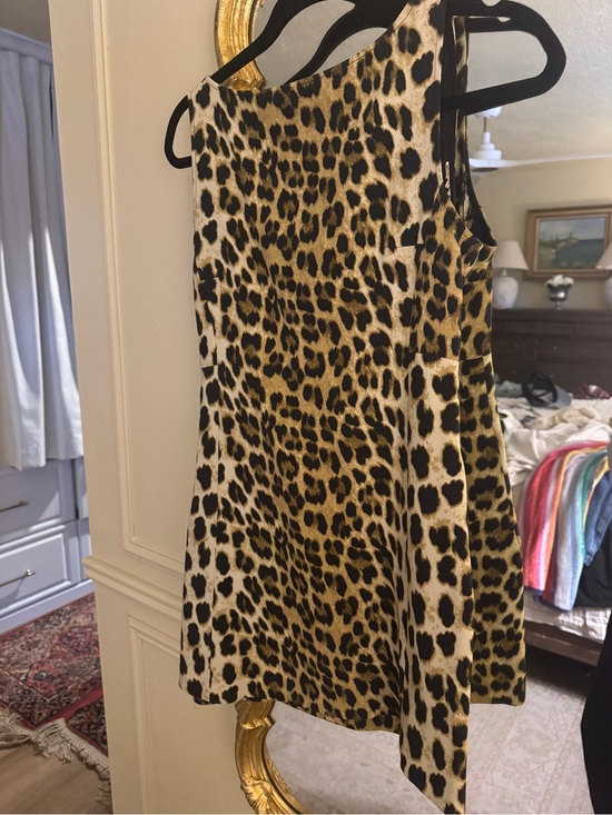 Zara Dresses & Skirts - Zara Leopard Print Sleeveless Shift Dress